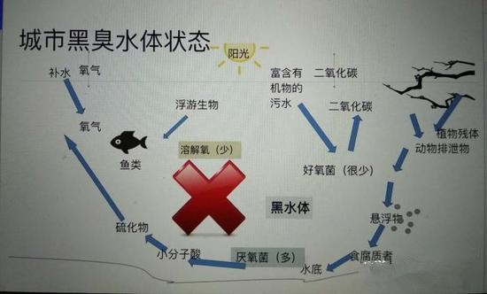 江蘇億元投資治污新技術 石墨烯能否治理黑臭水體？