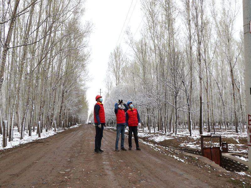 國(guó)網(wǎng)伊犁伊河供電公司四月飛雪，電力員工巡視線路保供電