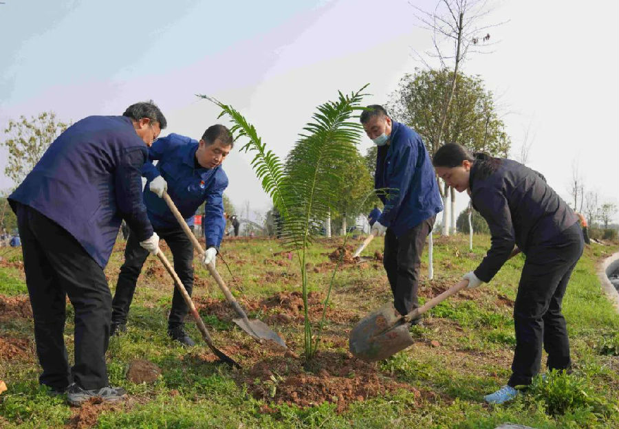 三峽集團保護珍稀植物植物突破1300種