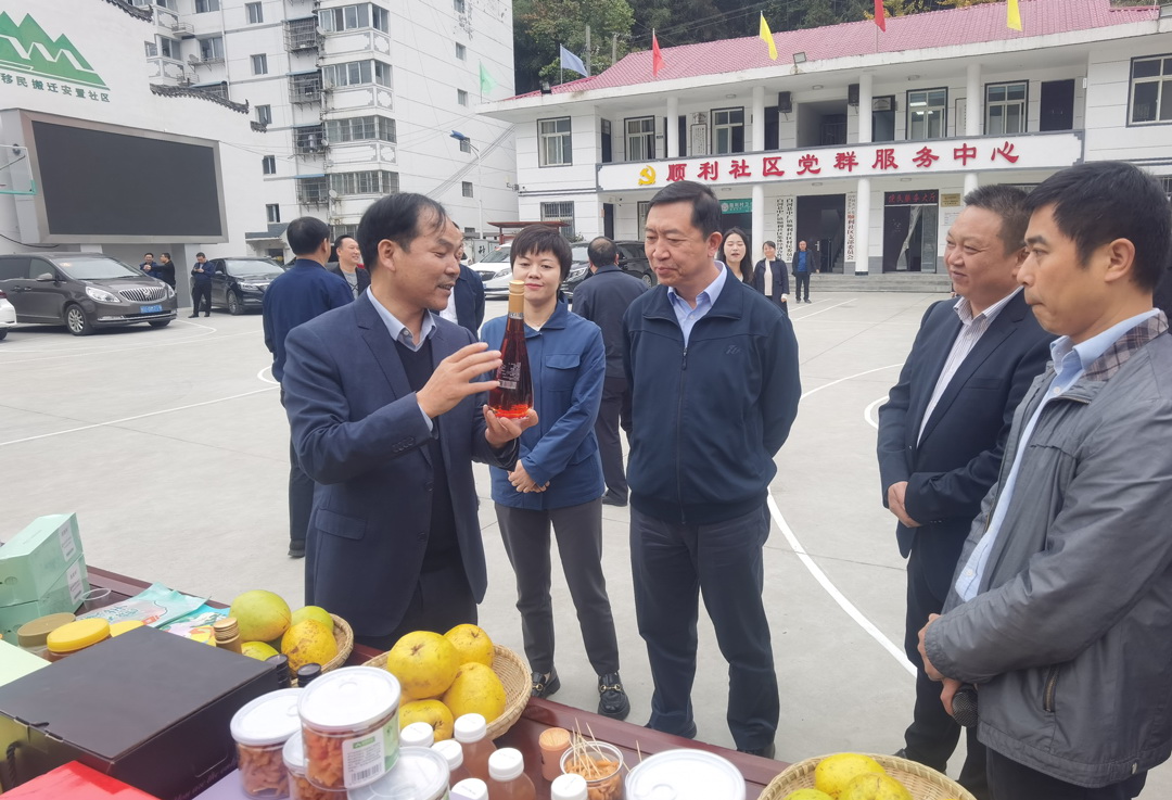 中核集團總經(jīng)理、黨組副書記顧軍赴陜西白河、旬陽調(diào)研鄉(xiāng)村振興工作